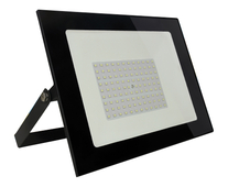 Прожектор светодиодный Smartbuy FL SMD LIGHT 100W/6500K/IP65 (SBL-FLLight-100-65)